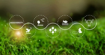 Grafische weergave van biodiversiteit met iconen van natuur, dieren, bomen, vogels, vissen en een koe op een groene mos-achtergrond.