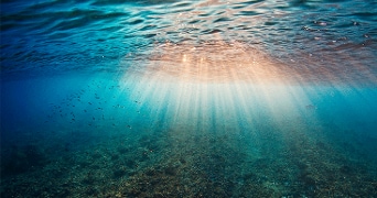 Zonnestralen die door het wateroppervlak schijnen met een school kleine vissen in de zee.