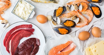 Verschillende eiwitrijke voedingsmiddelen zoals zalmfilet, rundvlees, garnalen, mosselen, eieren, kaas, kwark en schelpdieren op een witte achtergrond