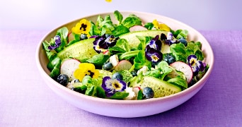 Salade met veldsla, komkommer, radijs, bosbessen en eetbare bloemen in een kom op een paarse ondergrond.