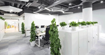 Modern open kantoorruimte met witte bureaus, kasten en diverse groene planten, heldere verlichting en een strakke inrichting.