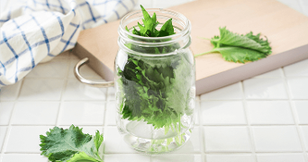 Glazen pot met groene shiso bladeren in water op een witte keukenblad, met een snijplank en keukendoek op de achtergrond