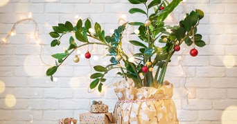 Kamerplant versierd met kerstballen en lichtjes, omringd door kerstcadeautjes op een lichte achtergrond