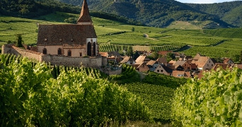 Mooi landschap met een kerk en wijngaarden in de Elzas, Frankrijk.