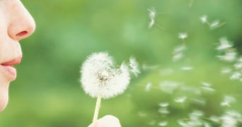 Een vrouw die blaast naar een paardenbloem.