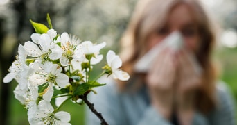 Witte bloesem van een boomtak in de lente, met een groene, natuurlijke achtergrond.