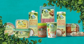 Assortiment van AH Terra plantaardige producten, waaronder hummus, salade, haverdrink, amandeldrink, sojayoghurt, pindakaas, plantaardige boterhamworst en spreads, uitgestald met groene bladeren op de achtergrond