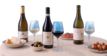 Drie flessen wijn met bijpassende glazen op een ronde tafel, geserveerd met verschillende kazen, olijven, vleeswaren en tapasprikkers.
