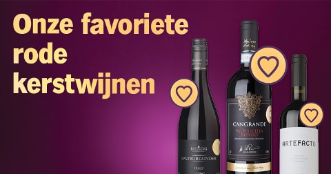 Onze favoriete rode kerstwijnen met flessen van Rietburg Spätburgunder, Cangrande Valpolicella Ripasso en Artefacto.