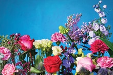 Bloemenarrangement met diverse kleurrijke bloemen zoals rozen, anjers en irissen tegen een blauwe achtergrond.