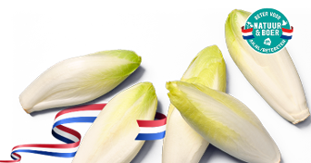 Witlof met lint in Nederlandse kleuren en Beter Voor Natuur & Boer keurmerk van Albert Heijn
