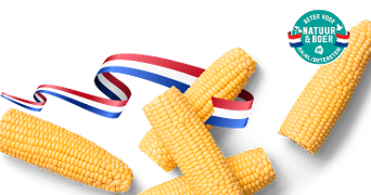Maïskolven met lint in de kleuren van de Nederlandse vlag en Beter voor Natuur & Boer keurmerk van Albert Heijn