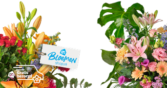 Boeketten met diverse kleurrijke bloemen, label met AH Bloemenshop.nl en icoon voor gratis bezorging