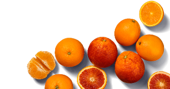 Sinaasappels, mandarijn en bloedsinaasappels, zowel heel als doorgesneden