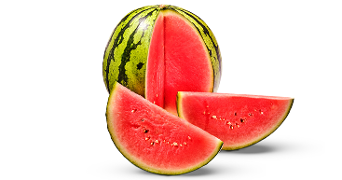 Watermelon met groene schil en rood vruchtvlees, met twee sappige gesneden stukken ervoor.