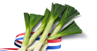 Verse prei met een lint in de kleuren van de Nederlandse vlag eromheen, symbool voor Hollandse herkomst.