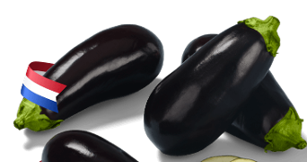Verse aubergines, één met een Nederlands vlaggetje om het steeltje.
