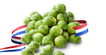 Spruitjes met Nederlandse vlag
