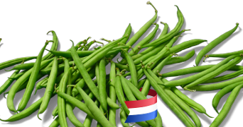 Stapel sperziebonen met een kleine Nederlandse vlag onderin het beeld.