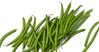 Verse sperziebonen met het Vers Garantie logo