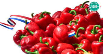 Een stapel verse rode paprika’s met dauwdruppels en groene steeltjes, met een Nederlands lint en een "Beter voor Natuur & Boer" keurmerk.