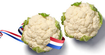 bloemkool