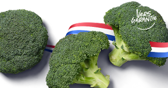 Drie stronken verse broccoli met een Nederlandse vlag en het label "Vers Garantie".