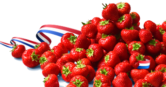 Verse rode aardbeien met een Nederlands rood-wit-blauw lint.