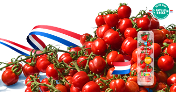 Romaatjes tomaten van Albert Heijn op een tros, met Nederlandse vlag accenten en een verpakking zichtbaar op de voorgrond. Ook het ‘Beter voor Natuur & Boer’ keurmerk is aanwezig.
