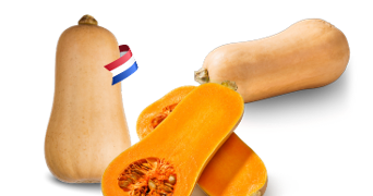 Flespompoen