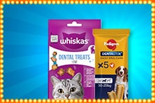 Whiskas Dental Treats voor katten en Pedigree Dentastix Dental Care voor honden tegen blauwe achtergrond met lampenrand.