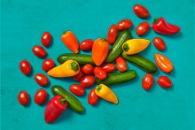 Mix van mini paprika's en cherrytomaten op een turquoise achtergrond.