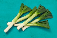 Verse preien op een turquoise ondergrond