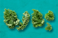 Boerenkoolbladeren op een blauwe achtergrond