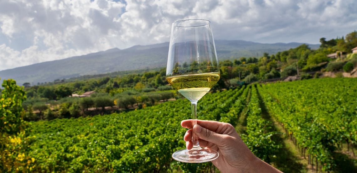 Een hand houdt een glas witte wijn vast boven een uitgestrekt groen wijngaardlandschap met heuvels op de achtergrond.