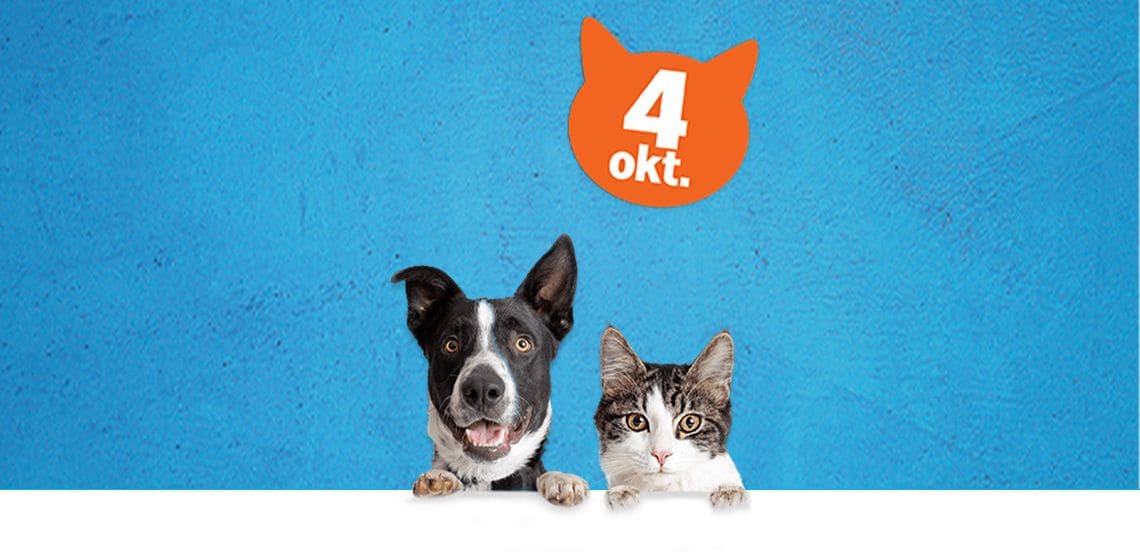 Hond en kat voor een blauwe achtergrond met een oranje kattenhoofdje waarop 4 oktober staat, ter viering van Werelddierendag