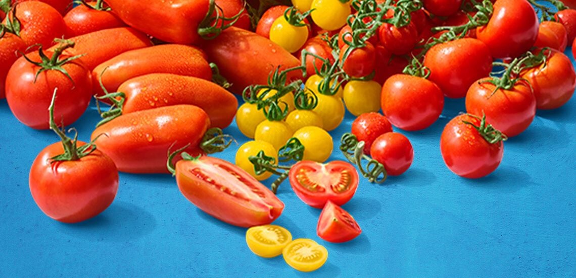 Verschillende soorten verse tomaten, waaronder rode en gele cherry- en pruimtomaten, op een blauwe achtergrond.