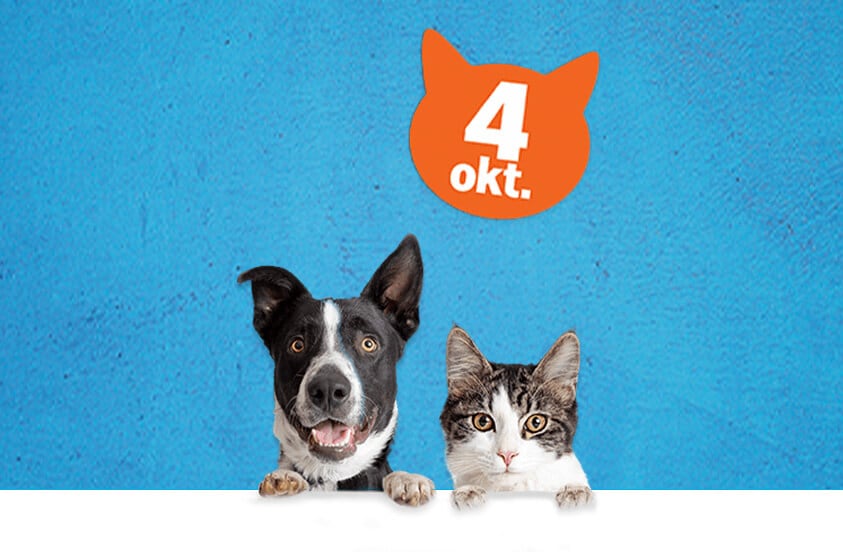 Hond en kat met oranje kattenvormig bord met tekst '4 okt.' tegen blauwe achtergrond, verwijzend naar Werelddierendag