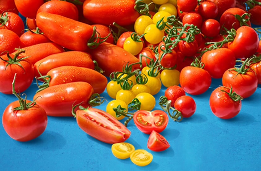 Verschillende soorten verse tomaten, waaronder rode en gele cherry- en pruimtomaten, op een blauwe achtergrond.