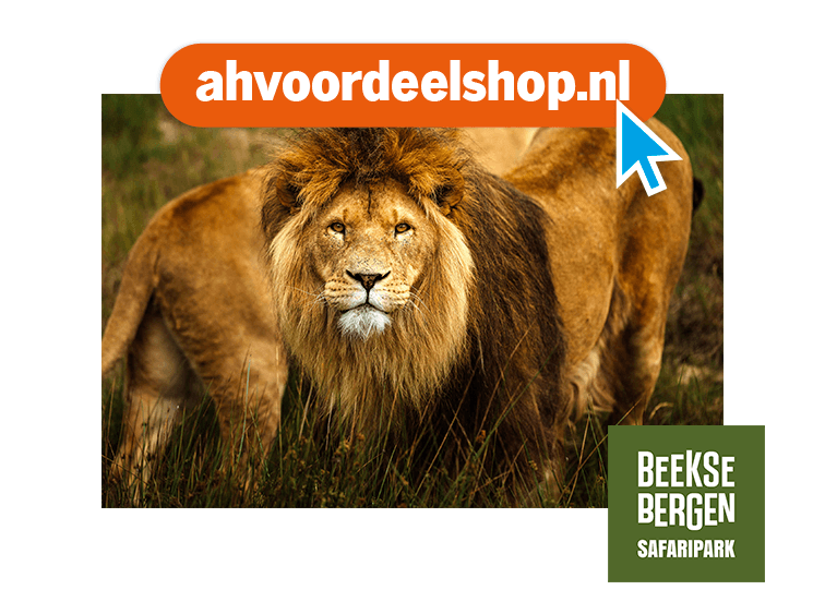 Beekse Bergen Safaripark