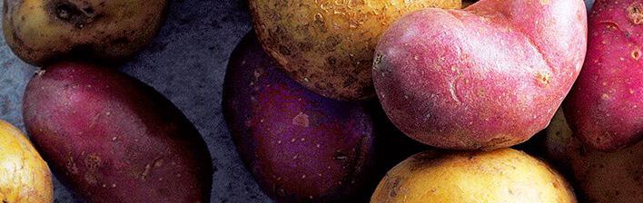 Aardappelen: welke zijn er en wat zijn de verschillen?
