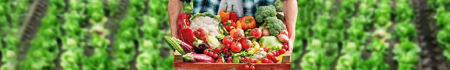 Groente en fruit in het seizoen op hun lekkerst.