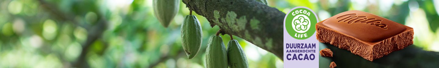 Milka gemaakt met duurzaam aangekochte cacao