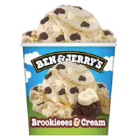 Ben & Jerry's Brookieees and cream