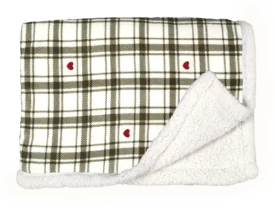 pdp-image-AH Excellent Plaid groene ruit met hartjes