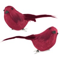 Een afbeelding van AH Excellent Vogeltje op clip rood