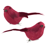 AH Excellent Vogeltje op clip rood