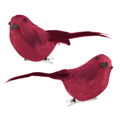 pdp-image-AH Excellent Vogeltje op clip rood