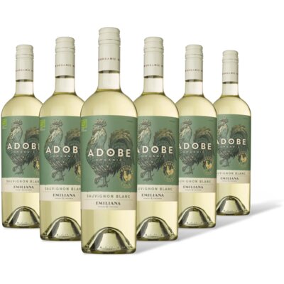 pdp-image-Adobe Sauvignon blanc reserva 6 flessen