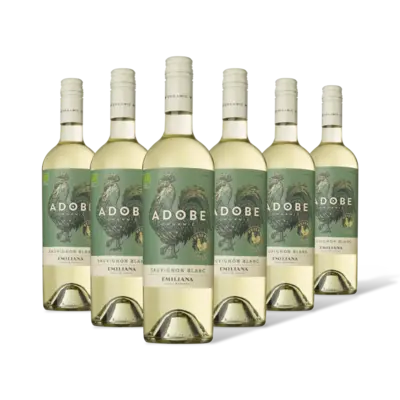 pdp-image-Adobe Sauvignon blanc reserva 6 flessen